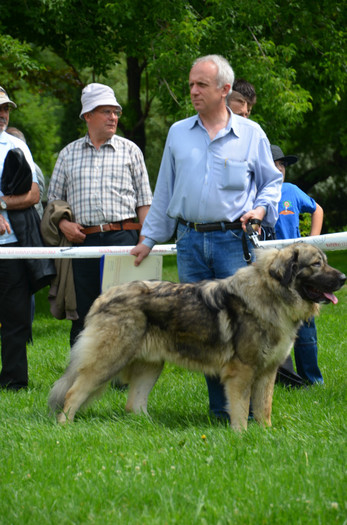 DSC_0266 - EXPOZITIE TARGOVISTE 20-05-2012