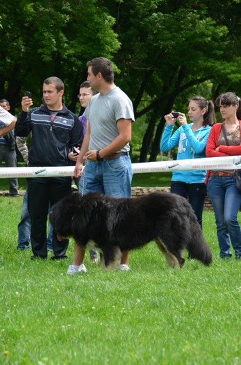 DSC_0267 - EXPOZITIE TARGOVISTE 20-05-2012