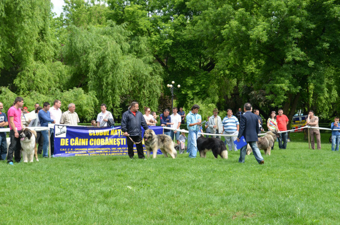 DSC_0271 - EXPOZITIE TARGOVISTE 20-05-2012