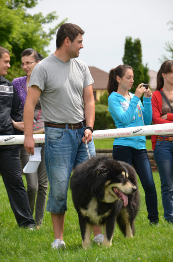 DSC_0290 - EXPOZITIE TARGOVISTE 20-05-2012