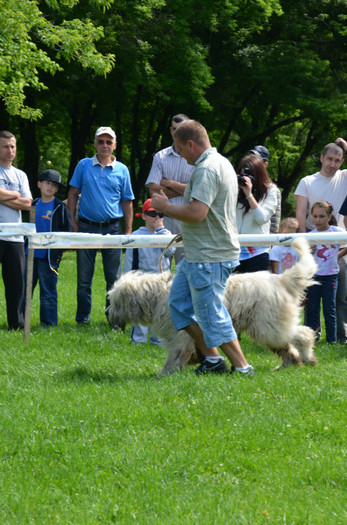 DSC_1129 - EXPOZITIE TARGOVISTE 20-05-2012