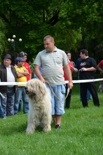 DSC_1139 - EXPOZITIE TARGOVISTE 20-05-2012