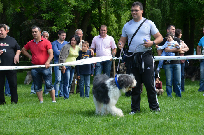DSC_1140 - EXPOZITIE TARGOVISTE 20-05-2012
