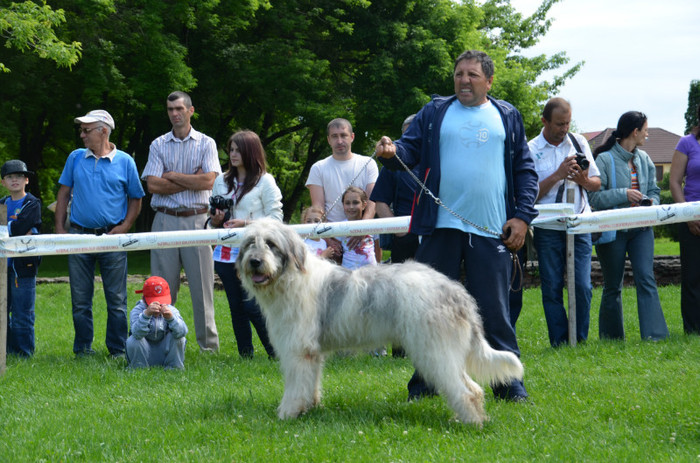DSC_1141 - EXPOZITIE TARGOVISTE 20-05-2012