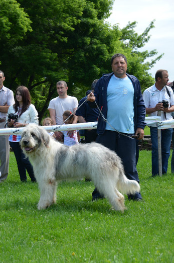 DSC_1142 - EXPOZITIE TARGOVISTE 20-05-2012