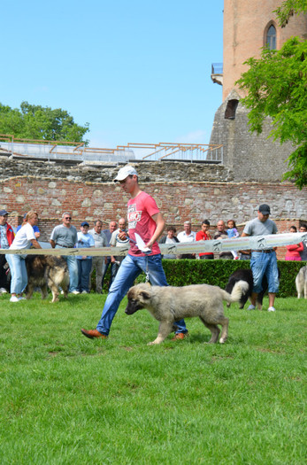DSC_1152 - EXPOZITIE TARGOVISTE 20-05-2012