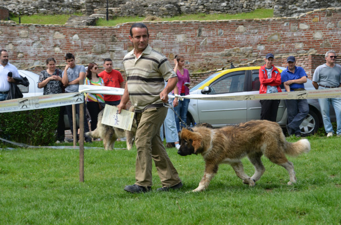 DSC_1179 - EXPOZITIE TARGOVISTE 20-05-2012