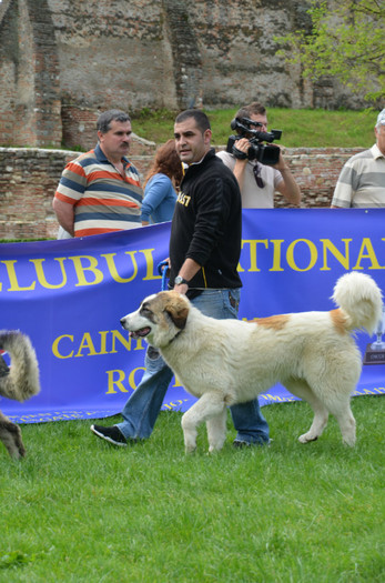 DSC_1211 - EXPOZITIE TARGOVISTE 20-05-2012