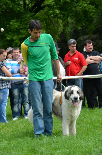 DSC_1238 - EXPOZITIE TARGOVISTE 20-05-2012