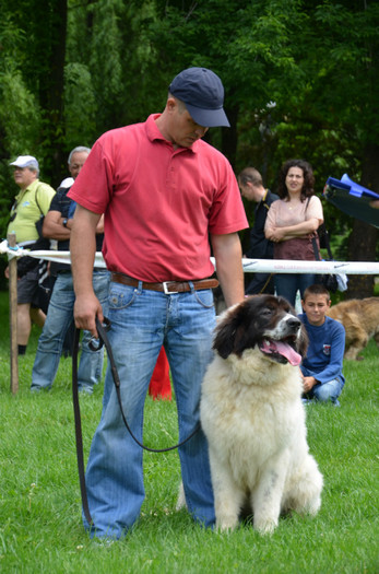 DSC_1248 - EXPOZITIE TARGOVISTE 20-05-2012