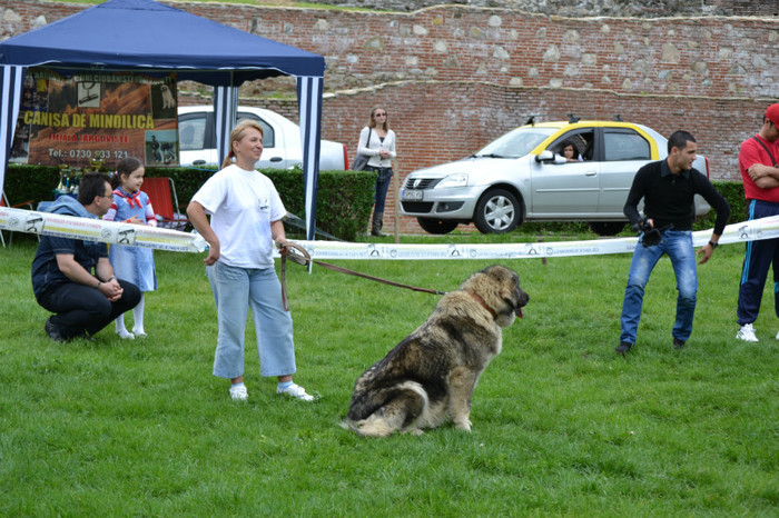 DSC_6404 - EXPOZITIE TARGOVISTE 20-05-2012
