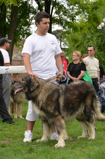 DSC_0436 - EXPOZITIE TARGOVISTE 20-05-2012