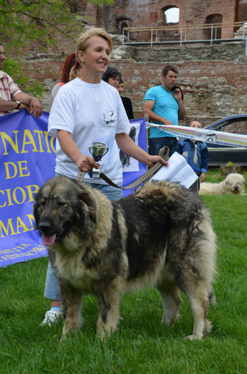 DSC_0443 - EXPOZITIE TARGOVISTE 20-05-2012