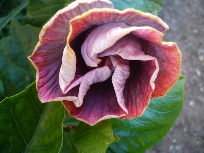 P1140031