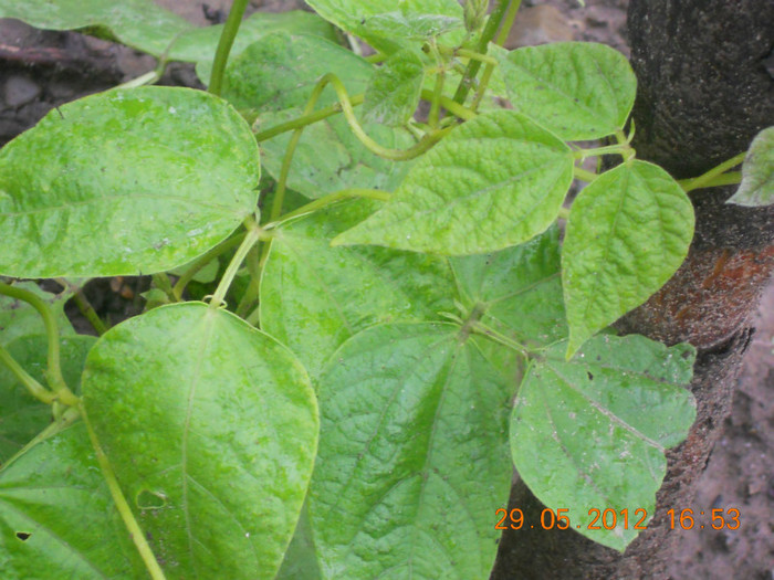 DSCN1226