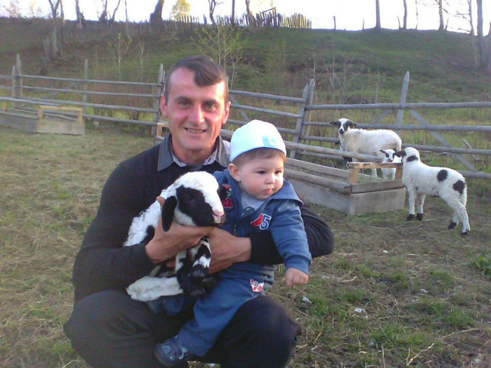 524437_111138715688383_686662934_n