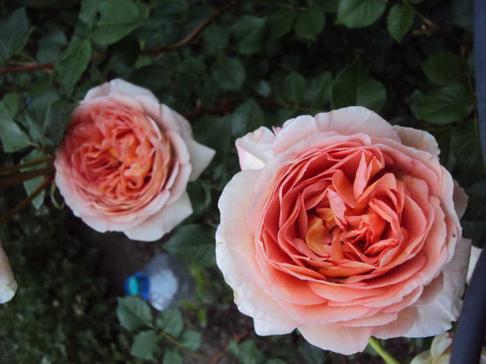 DSC05748 - Abraham Darby