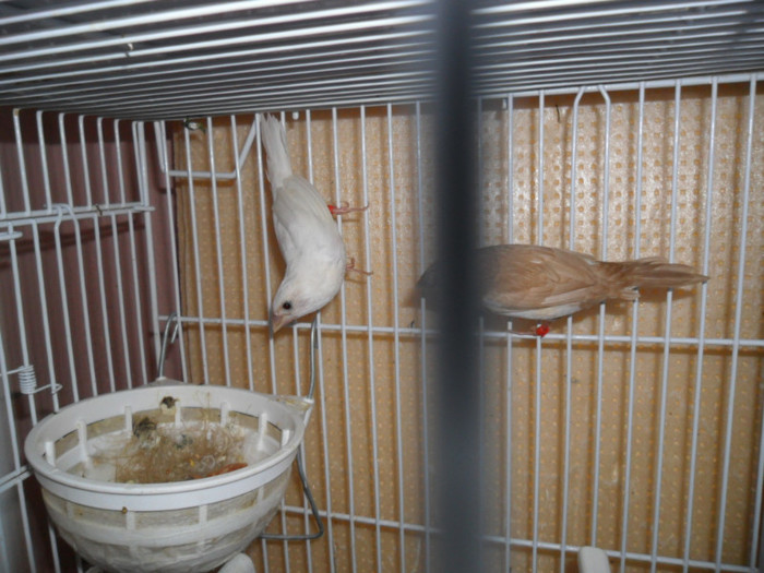 SAM_1588; parinti devotati . nota 10 !
