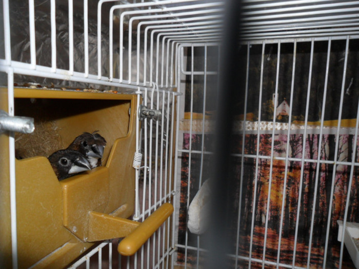 SAM_1589; din nou la drum......
