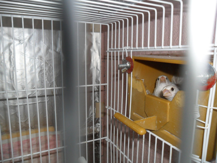 2012; eiiiiiiii&gt;&gt;&gt;&gt;  asteptam rezultatele ...
