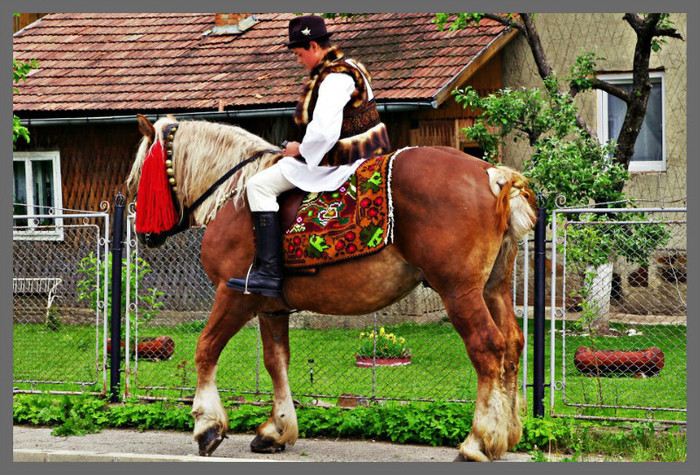 156262_226493870800361_182202395229509_396246_753818765_n