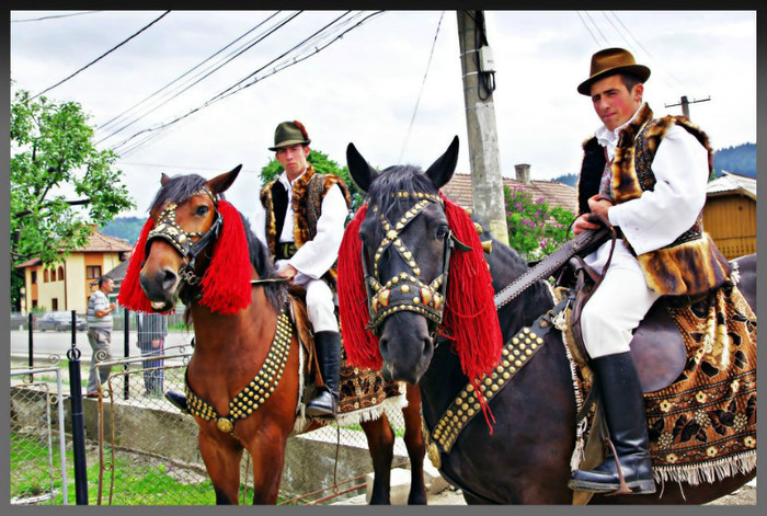 301814_226493800800368_182202395229509_396245_441247385_n