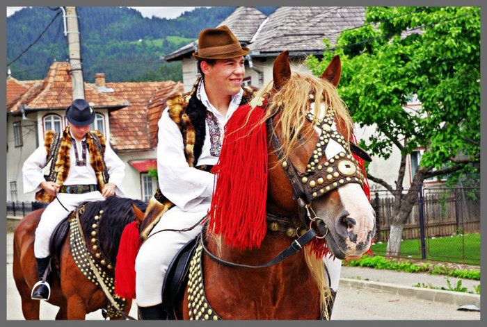 536047_226493734133708_182202395229509_396244_733998795_n