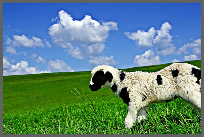 310047_223398221109926_1278393627_n