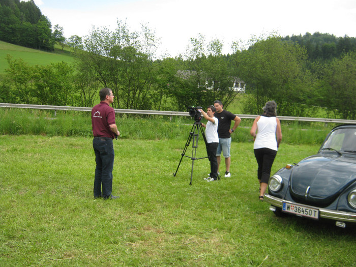 blue-danube.tv