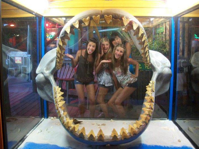 397039_157453064367292_1026626101_n