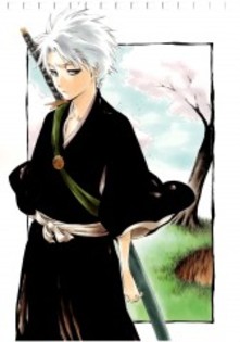 Bleach (22)