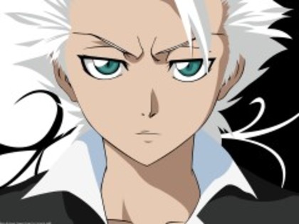 Bleach (28)