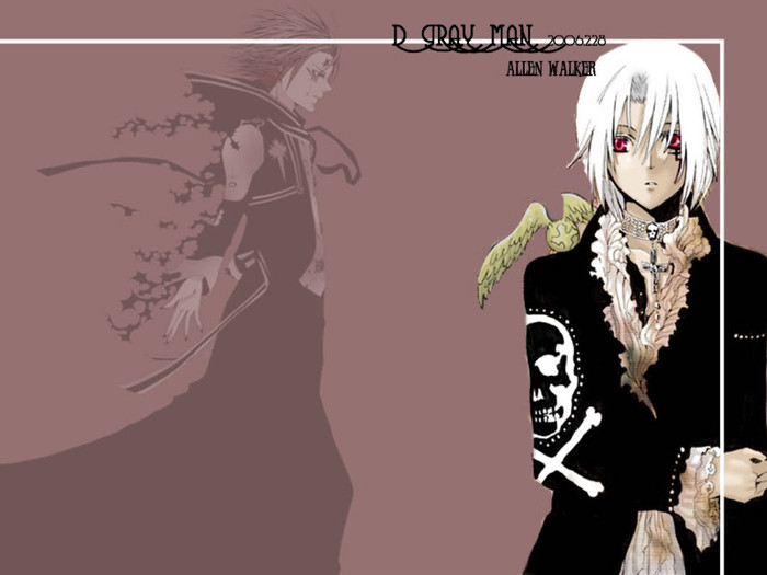 D.Gray-Man (24)