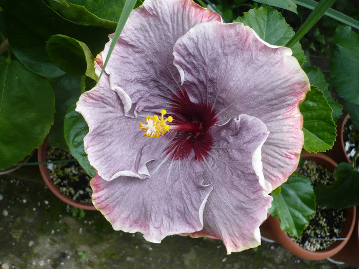 P1140095