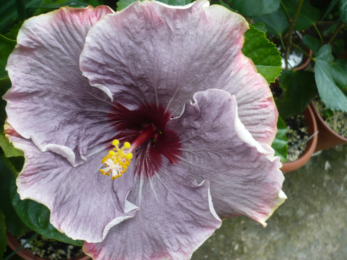P1140096