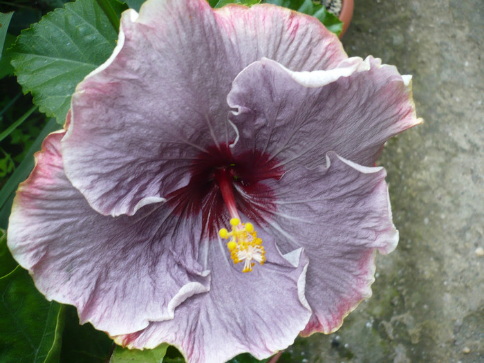 P1140097