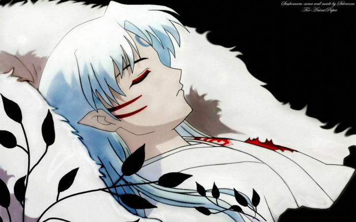 4 - Inuyasha imagini