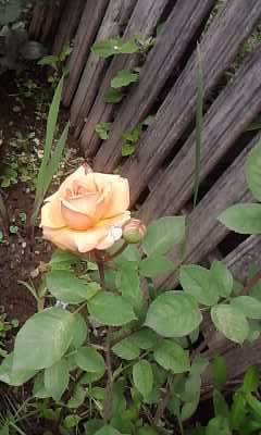 P290512_13.05_[02]