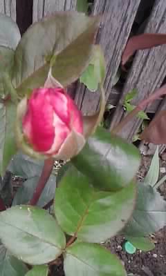 P290512_13.05_[03]