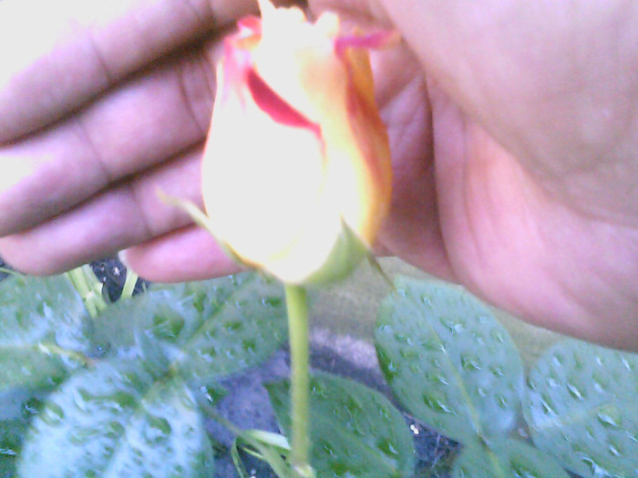 Picture 019
