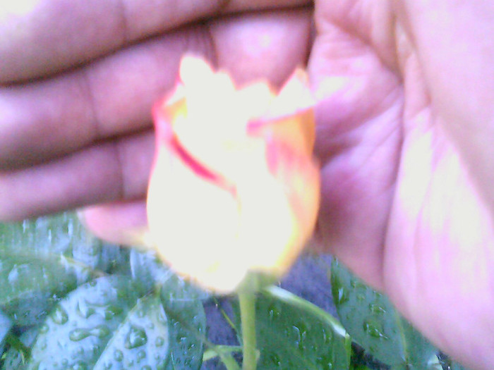 Picture 020
