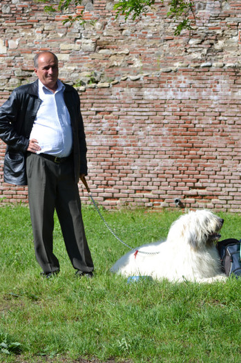 DSC_6315 - Targoviste 20 05 2012