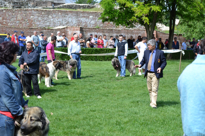 DSC_6349 - Targoviste 20 05 2012