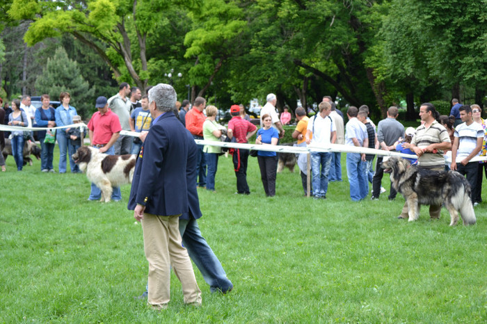 Copy of DSC_6403 - Targoviste 20 05 2012