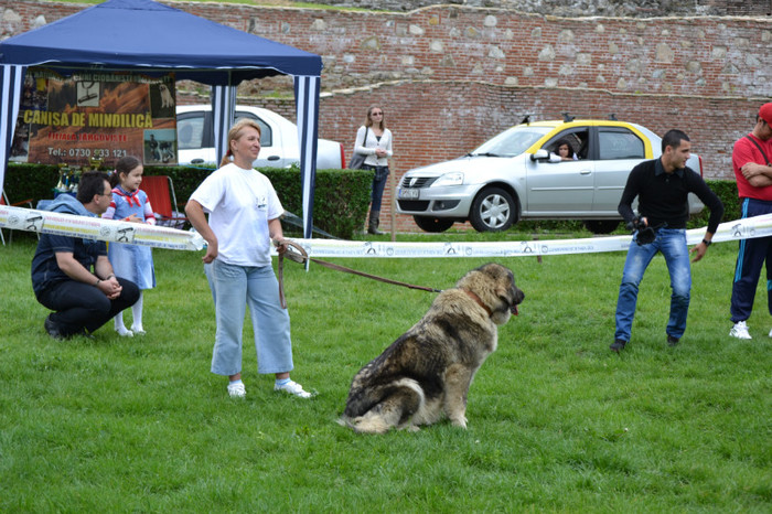 Copy of DSC_6404 - Targoviste 20 05 2012