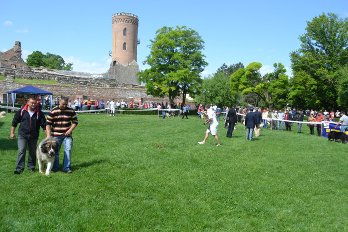 DSC_6351 - Targoviste 20 05 2012