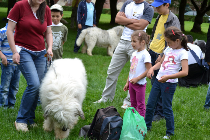 DSC_6375 - Targoviste 20 05 2012