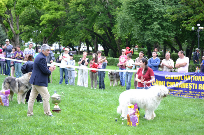 DSC_6447 - Targoviste 20 05 2012