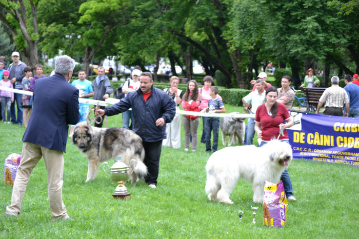 DSC_6448 - Targoviste 20 05 2012