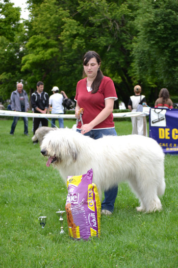 DSC_6450 - Targoviste 20 05 2012